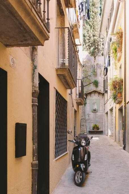 Velo Vern 1 Beautiful New Apartment 2 Bed Ensuite Girona Eksteriør bilde